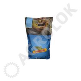Rzepak ozimy DK Extrovert F1 Rzepak ozimy DK Extrovert F1
